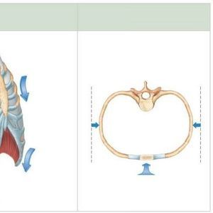 Meet your Posher, Ikechi